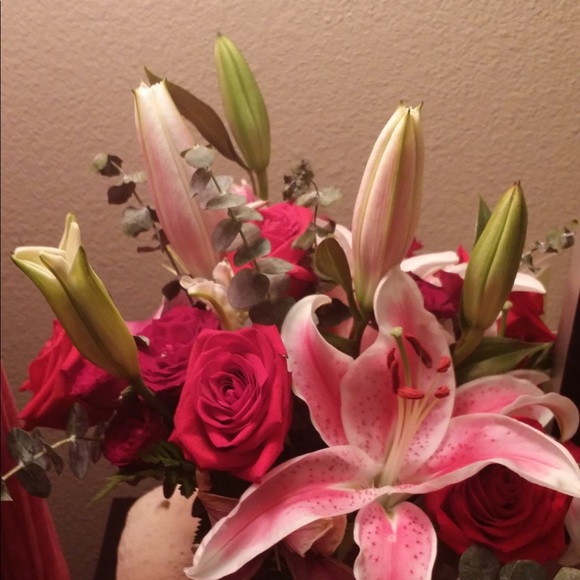 Meet your Posher, Frances - Picture 1 of 1